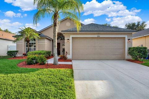8301 CARRIAGE POINTE DRIVE GIBSONTON FL 33534