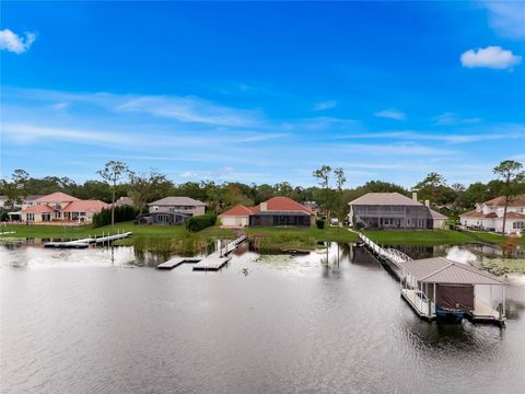 A home in ORLANDO