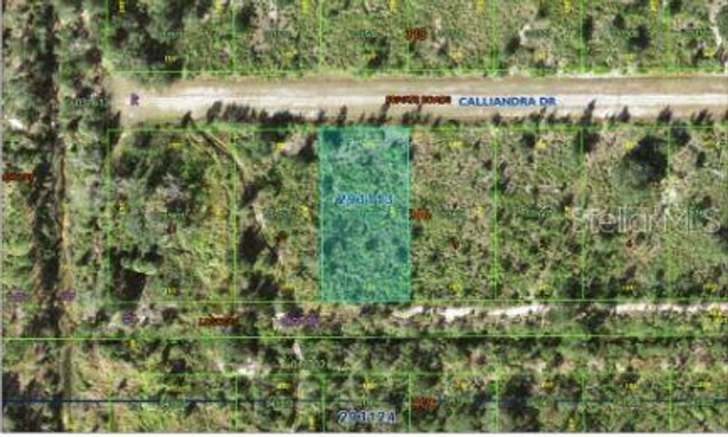 Photo of Calliandra Drive, Indian Lake Estates, FL 33855 (MLS # O6305914)