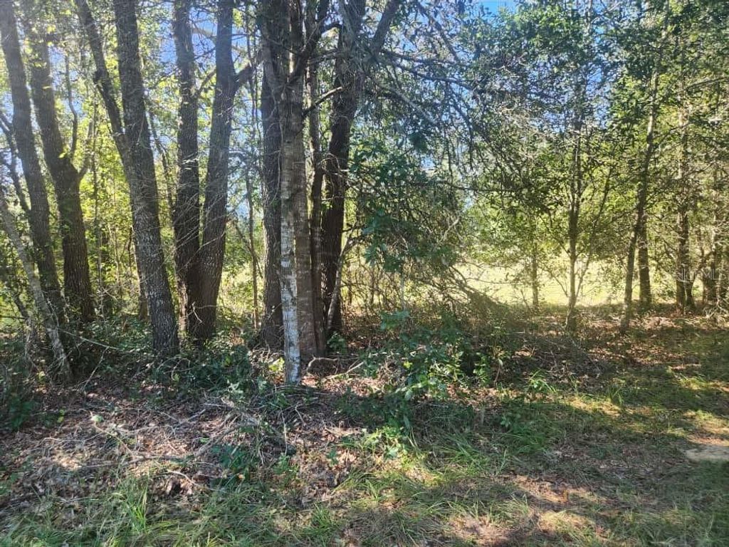 Photo of 2309 Garfield Street, Inverness, FL 34453 (MLS # TB8442114)