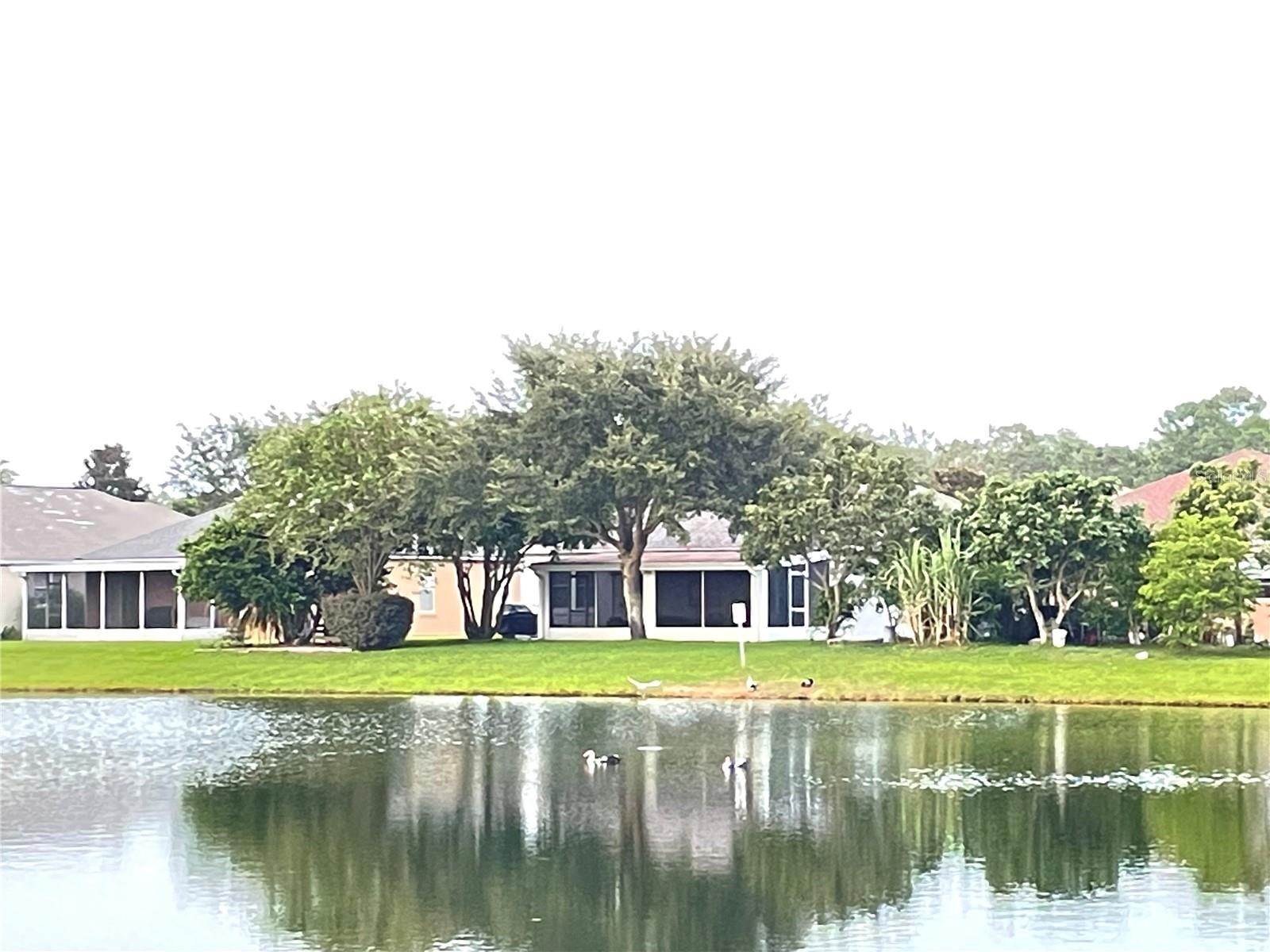 ANDOVER POINT 50 24 - Residential Lease