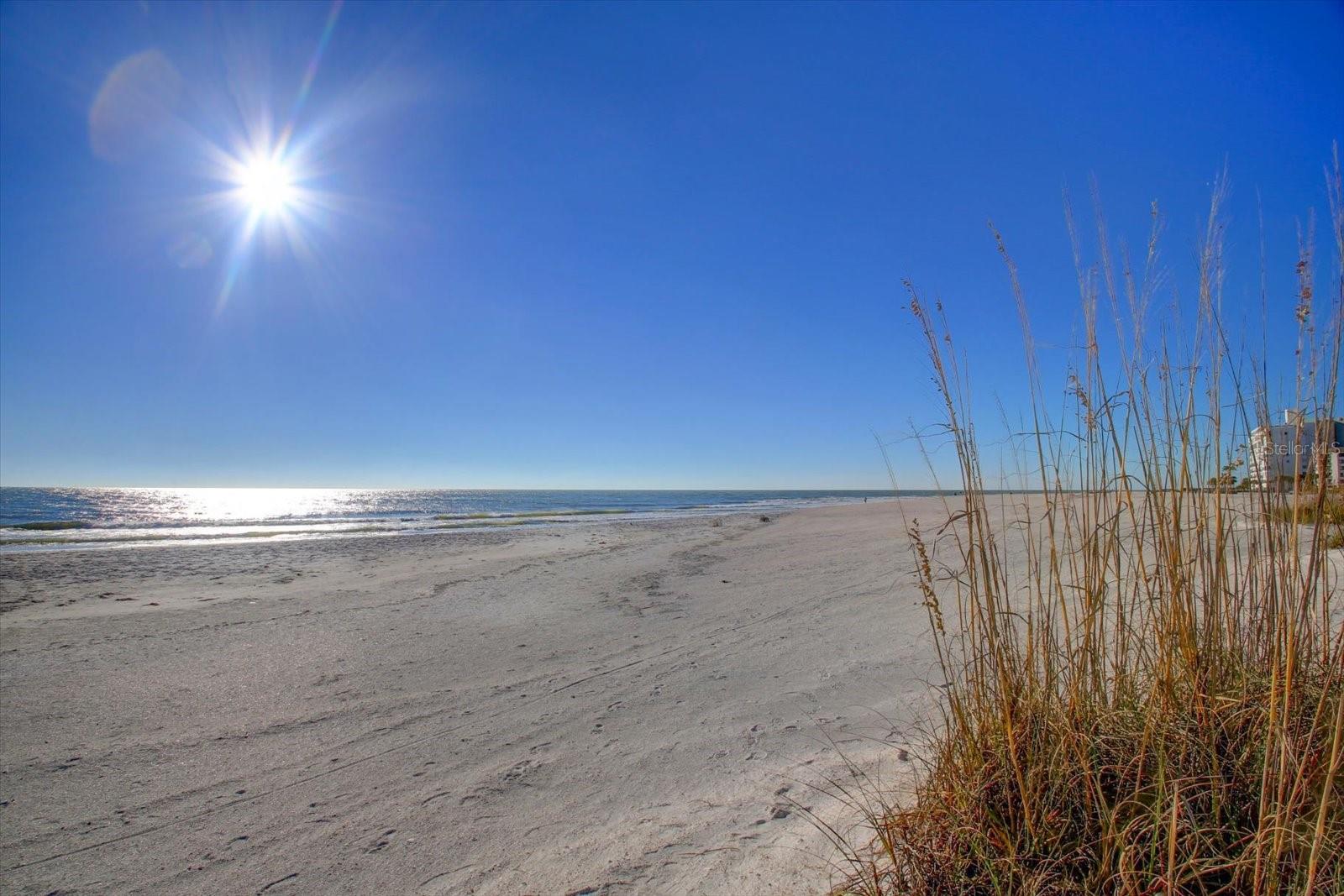 SUNSET PLAZA APTS CONDO - Residential