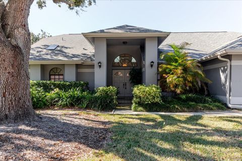Photo of 802 Centerwood Drive, Tarpon Springs, FL 34688 (MLS # TB8465812)