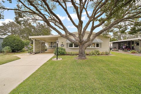 A home in TAVARES