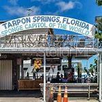 GREEN DOLPHIN PARK MID-RISE CONDO - Residential Lease