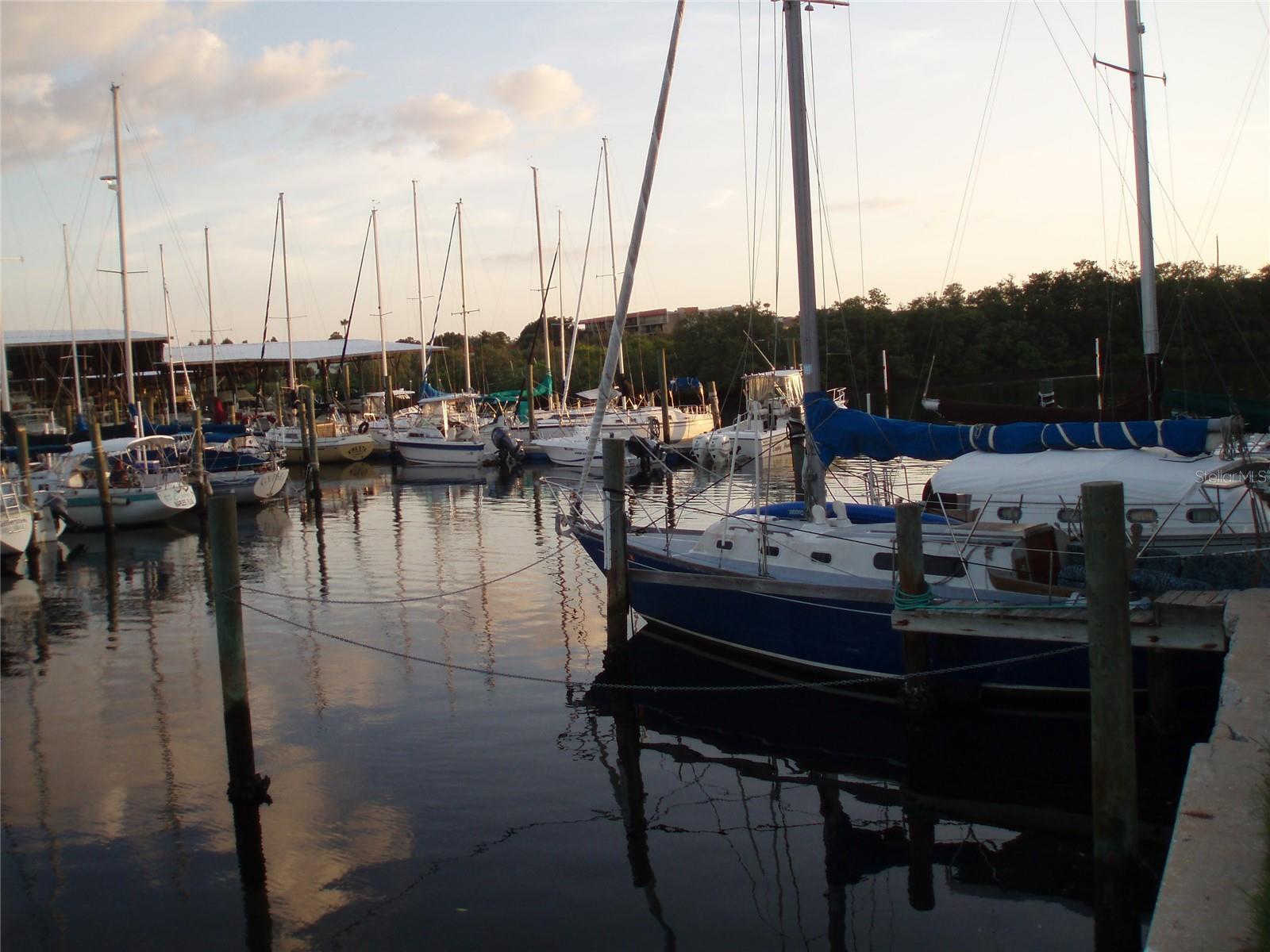 GREEN DOLPHIN PARK MID-RISE CONDO - Residential Lease