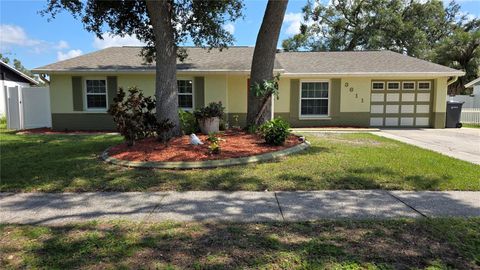 Photo of 3611 Wisperbreath Ln, Tampa, FL 33619 (MLS # TB8423055) Photo of 3611 Wisperbreath Ln, Tampa, FL 33619 (MLS # TB8423055)
