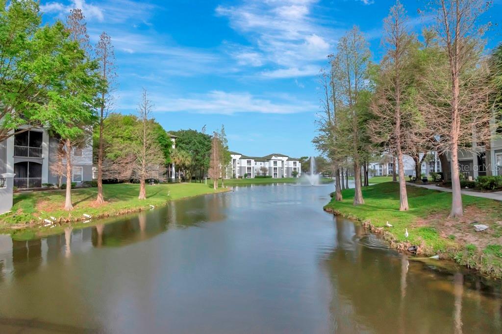 ALLEGRO PALM A CONDO - Residential