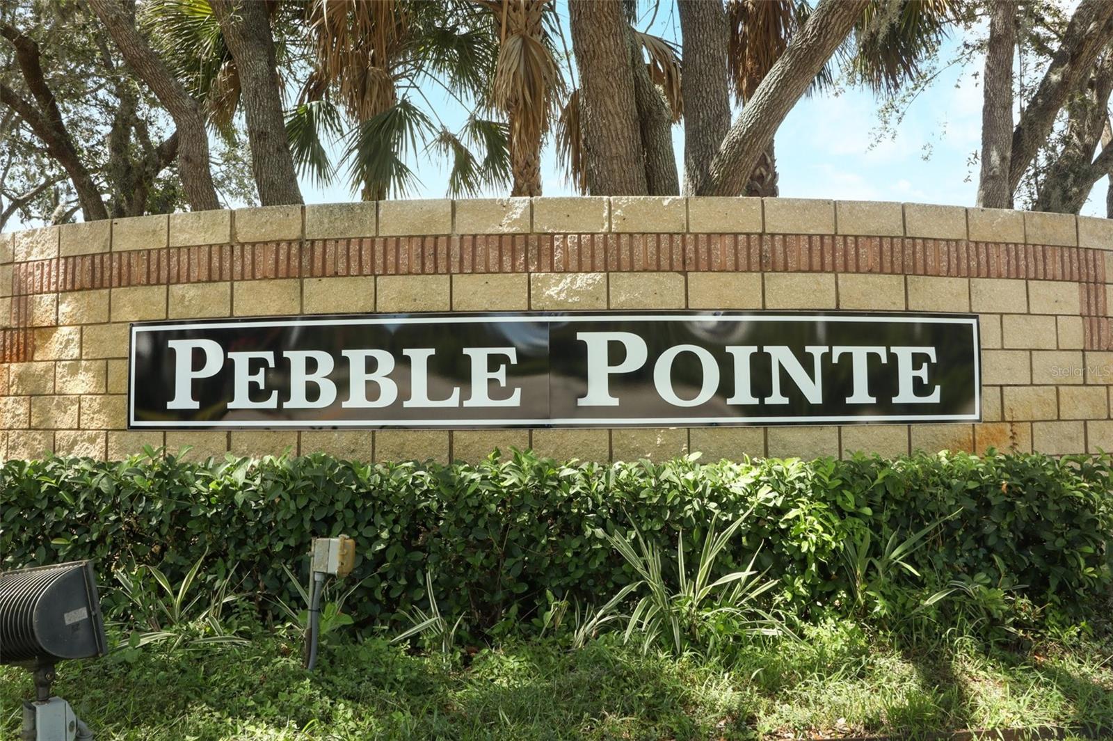 PEBBLE POINTE UNIT 02 - Residential