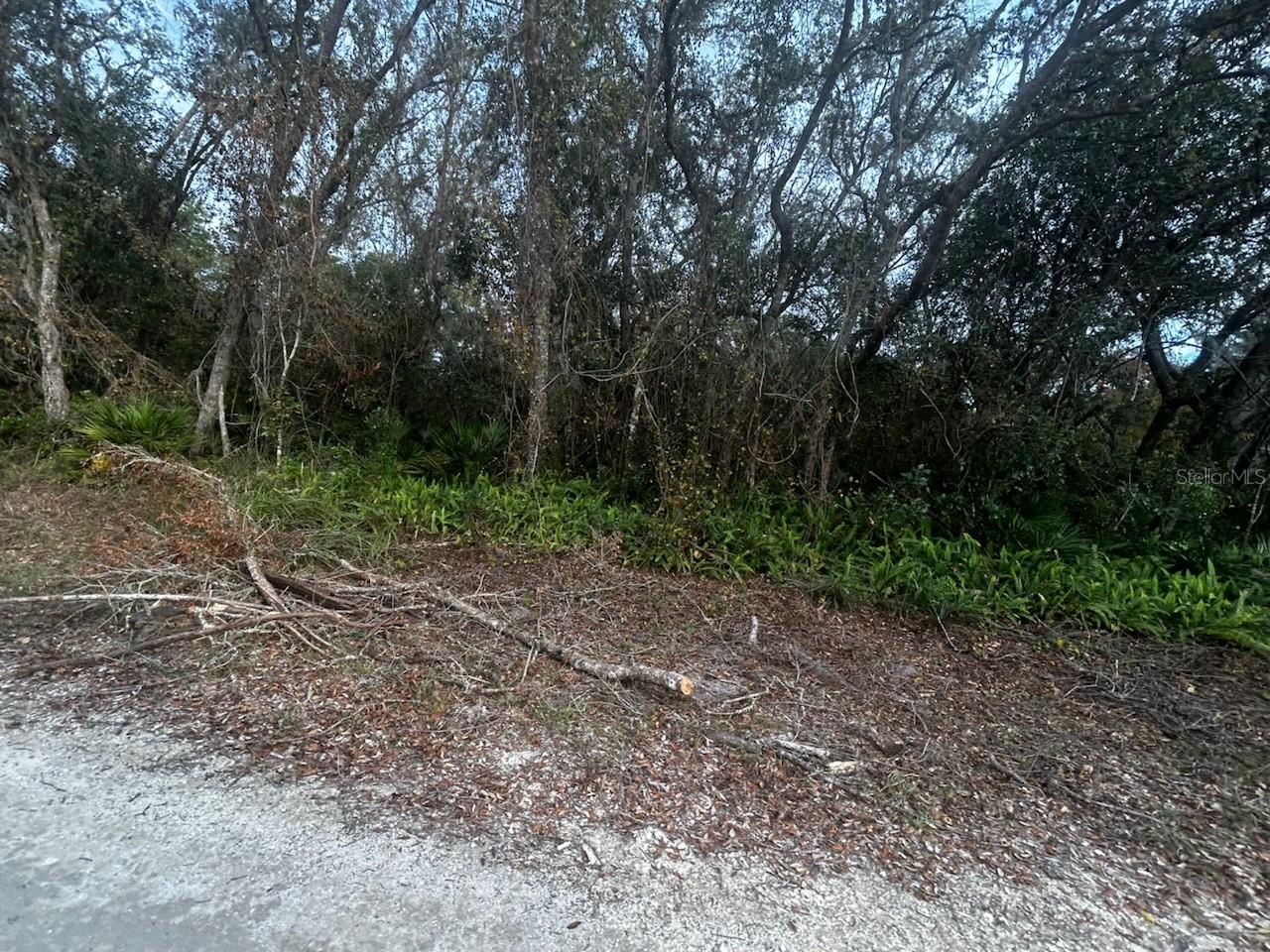 Wooded corner lot in Ridge Manor Estates. Just under an acre to build your home. Great location to access to I-75 or take SR 50 toward Clermont or Orlando.