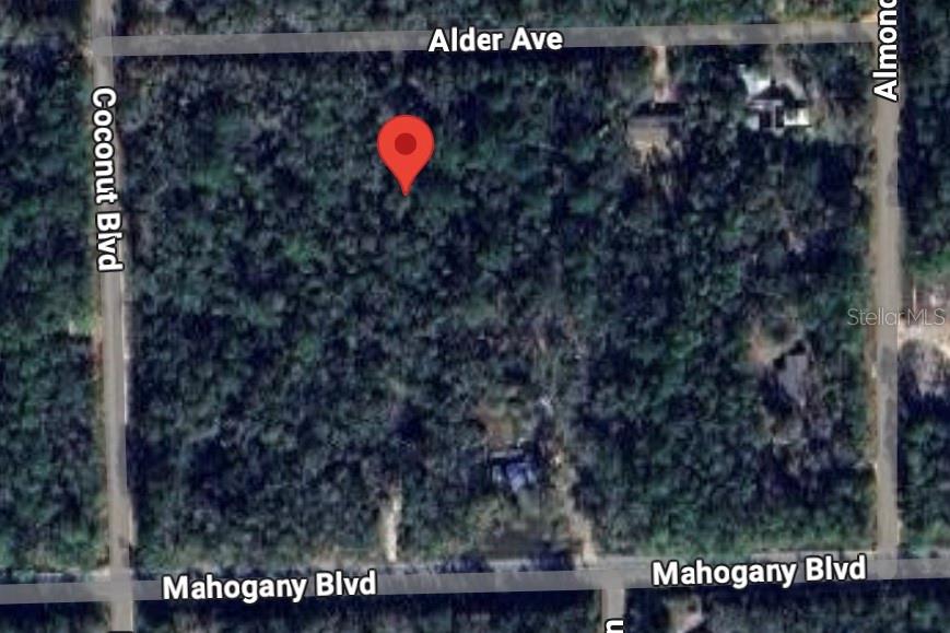 This expansive 1.32-acre lot offers endless possibilities for your vision! Whether you're looking to build your dream home, develop a private retreat, or invest in a growing area, this vacant land provides the space, privacy, and potential you've been searching for. Situated in the charming city of Bunnell, this property boasts ample frontage and a prime location, ready for your next big project. Perfectly located, this property offers the best of both worlds—nestled between the vibrant energy of Daytona Beach and the historic charm of St. Augustine. Don't miss out on this exceptional chance to own a piece of Florida's growing landscape— make this property yours!