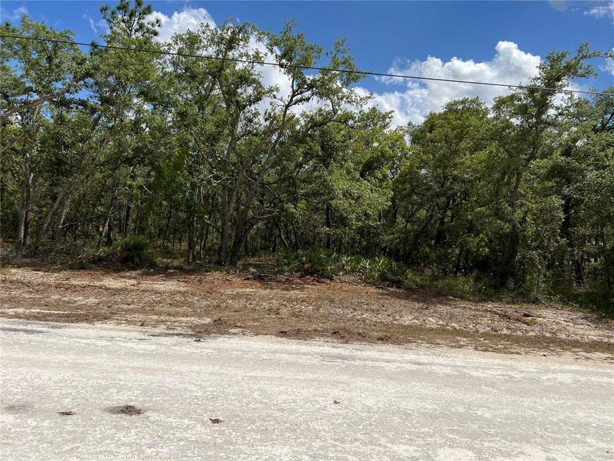 Ready to build that dream home? NO HOA! This is the perfect lot. If you like being in a rural area but not far from town, this is the place. Great place to build, whether your forever home or just a vacation home. Nice homes being built right here in this area. You're only 30 min from Crystal River. Great place to put the boat in or even a night out for dinner on the water with the beautiful sunset. This parcel is zoned R1C, which permits single-family/modular homes with a minimum of 900 square feet of livable space. Easy access to Spring Hill for dining and shopping. Your only minutes to the Weeki Wachee Springs. Call today and let's write up a contract.