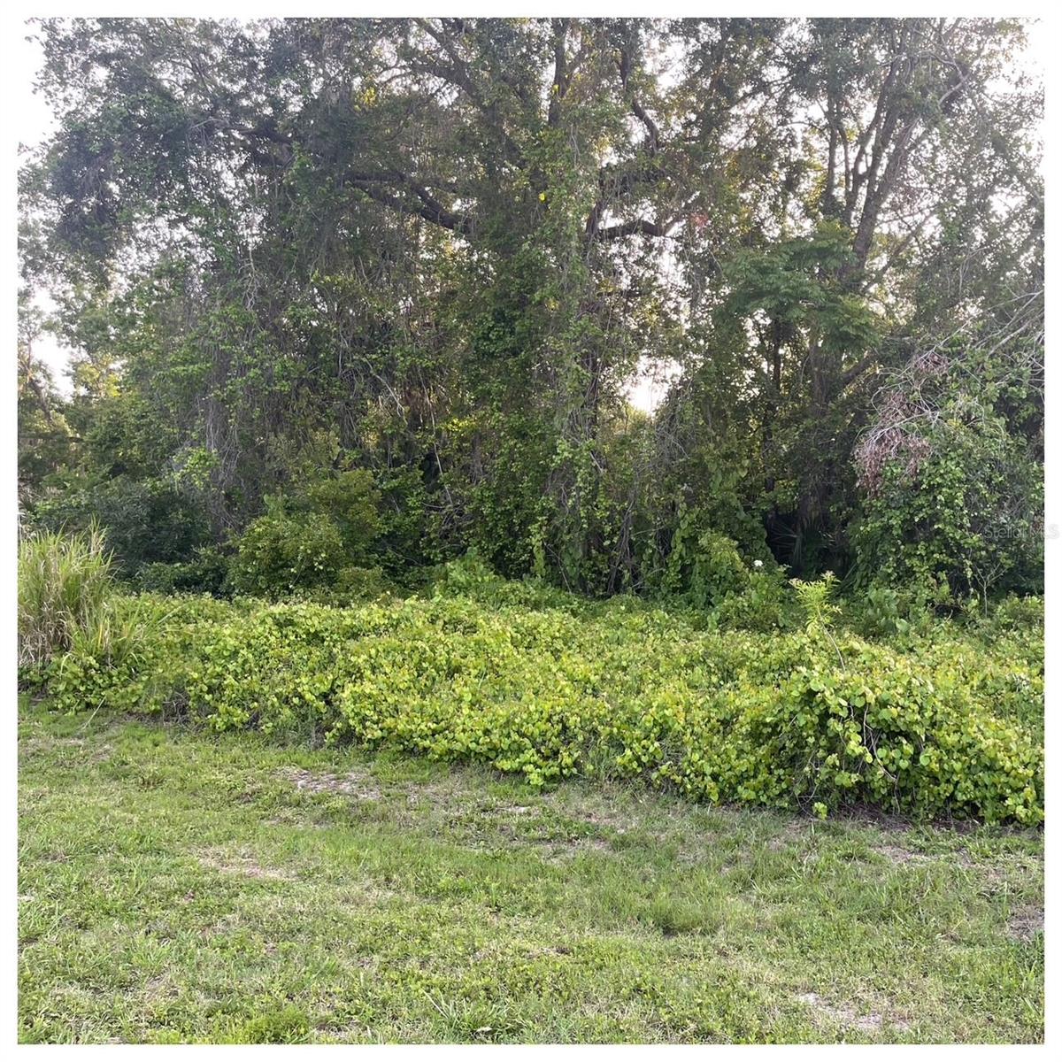Quail Hollow On The River. This is one of the last vacant lots. Beautiful and Buildable. Community Boat Ramp, Clubhouse and Pool. Fishing piers with park area to have your weekend family picnics. This community allows RV's, Boats and your Golf cart. You will love living in a community with access to the St. Johns River. Bring your boat and your jet skis.