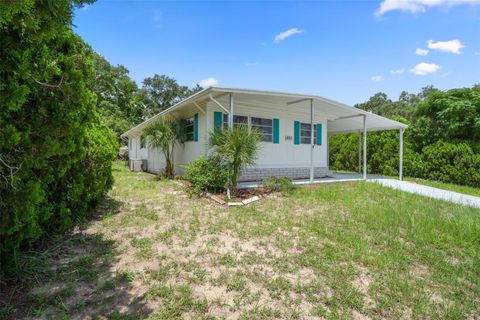 A home in BROOKSVILLE