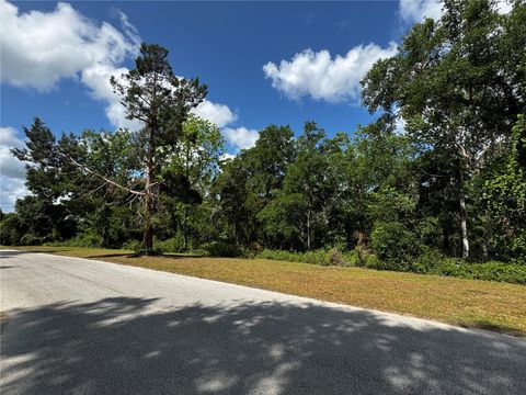1103 SAVANNAH OAKS DRIVE BROOKSVILLE FL 34602