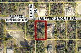 Photo of 13364 Ruffed Grouse Road, Weeki Wachee, FL 34614 (MLS # W7887951)