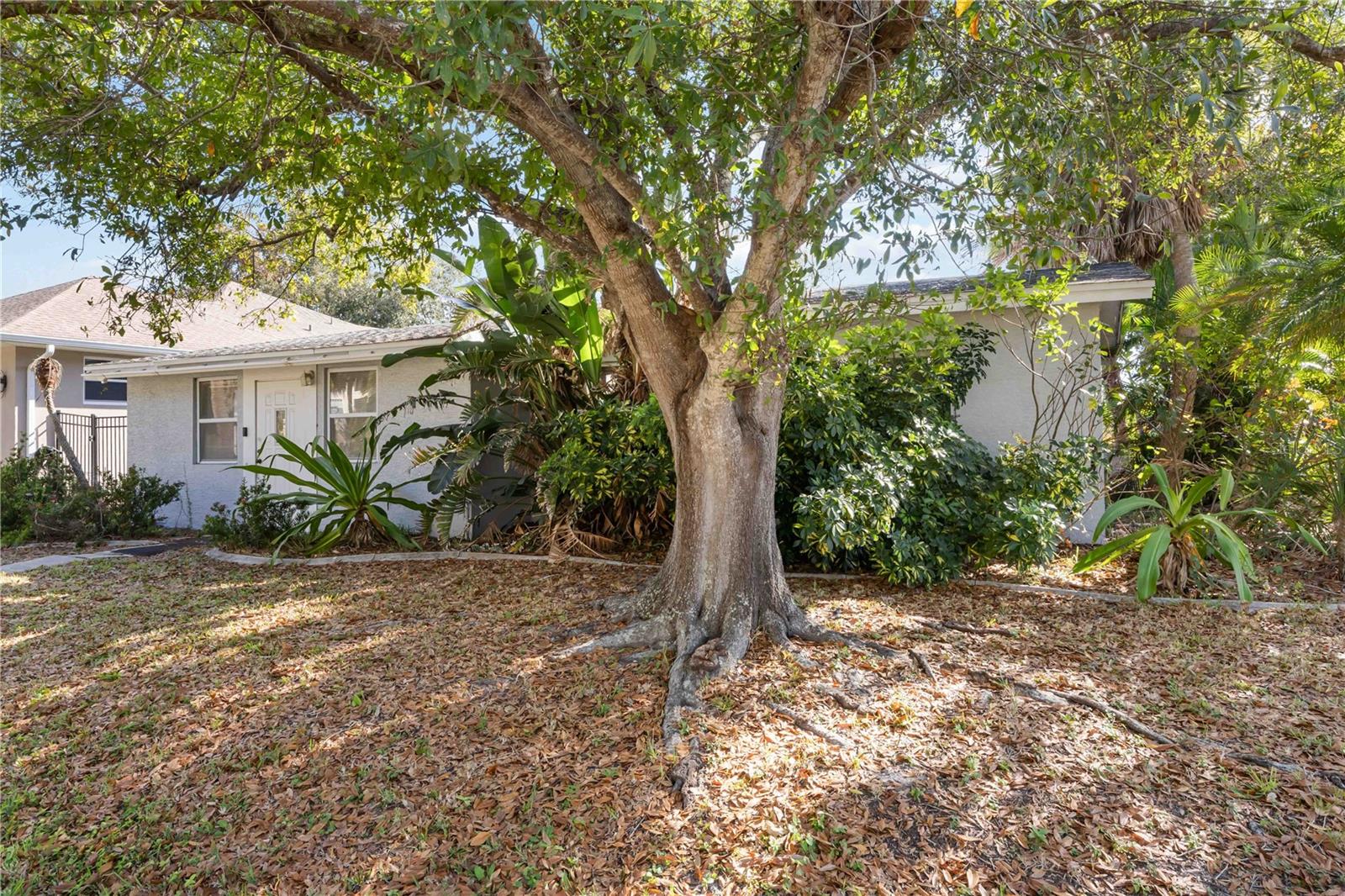 BEACH MANOR - Residential