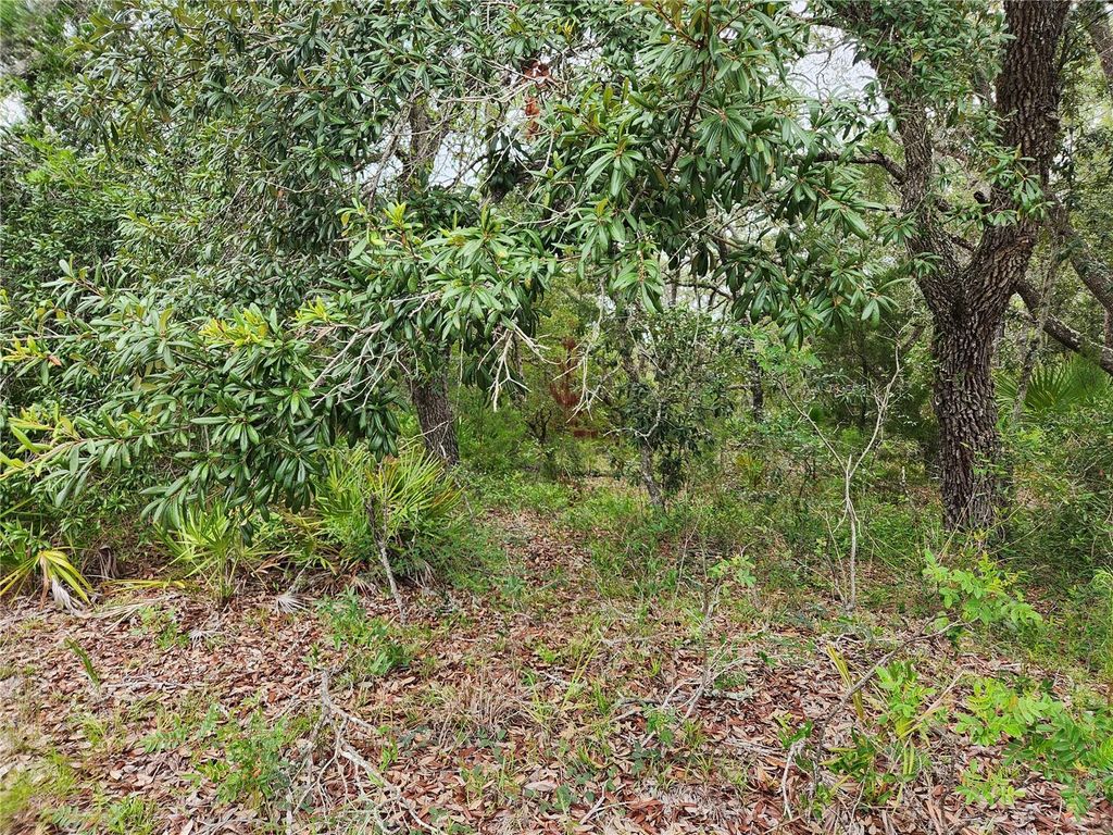 Photo of 18364 Parakeet Road #Lot 25, Brooksville, FL 34614 (MLS # W7887597)