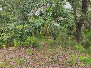 18364 PARAKEET ROAD Lot #25 BROOKSVILLE FL 34614