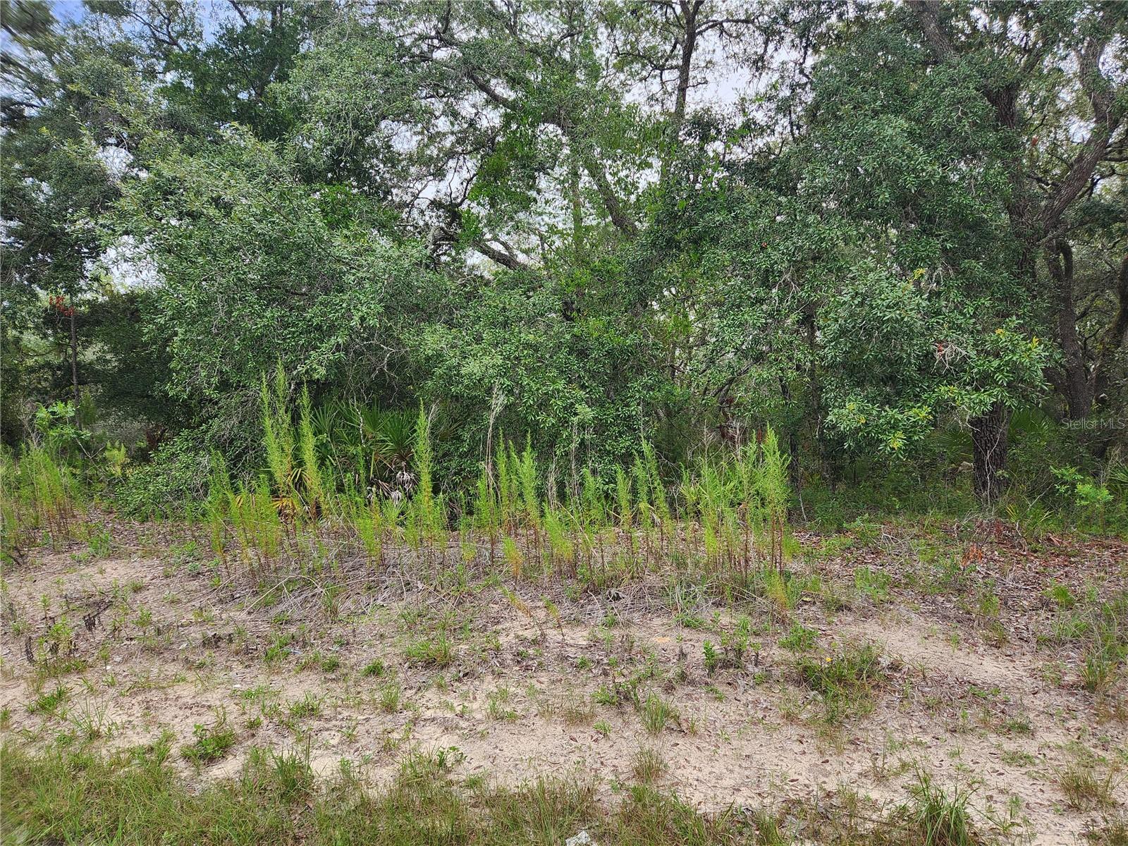 18364 PARAKEET ROAD Lot #25