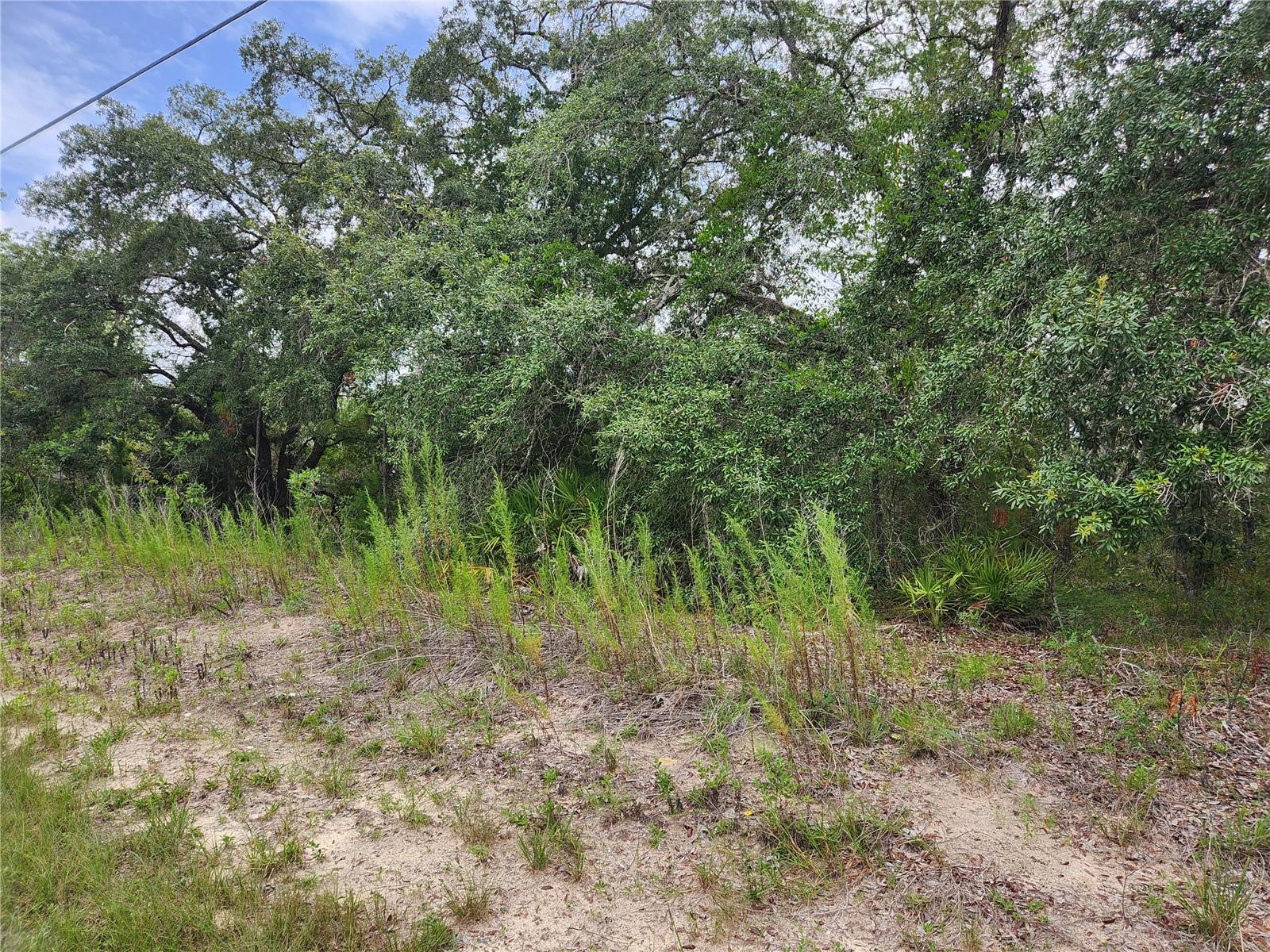 18364 PARAKEET ROAD Lot #25