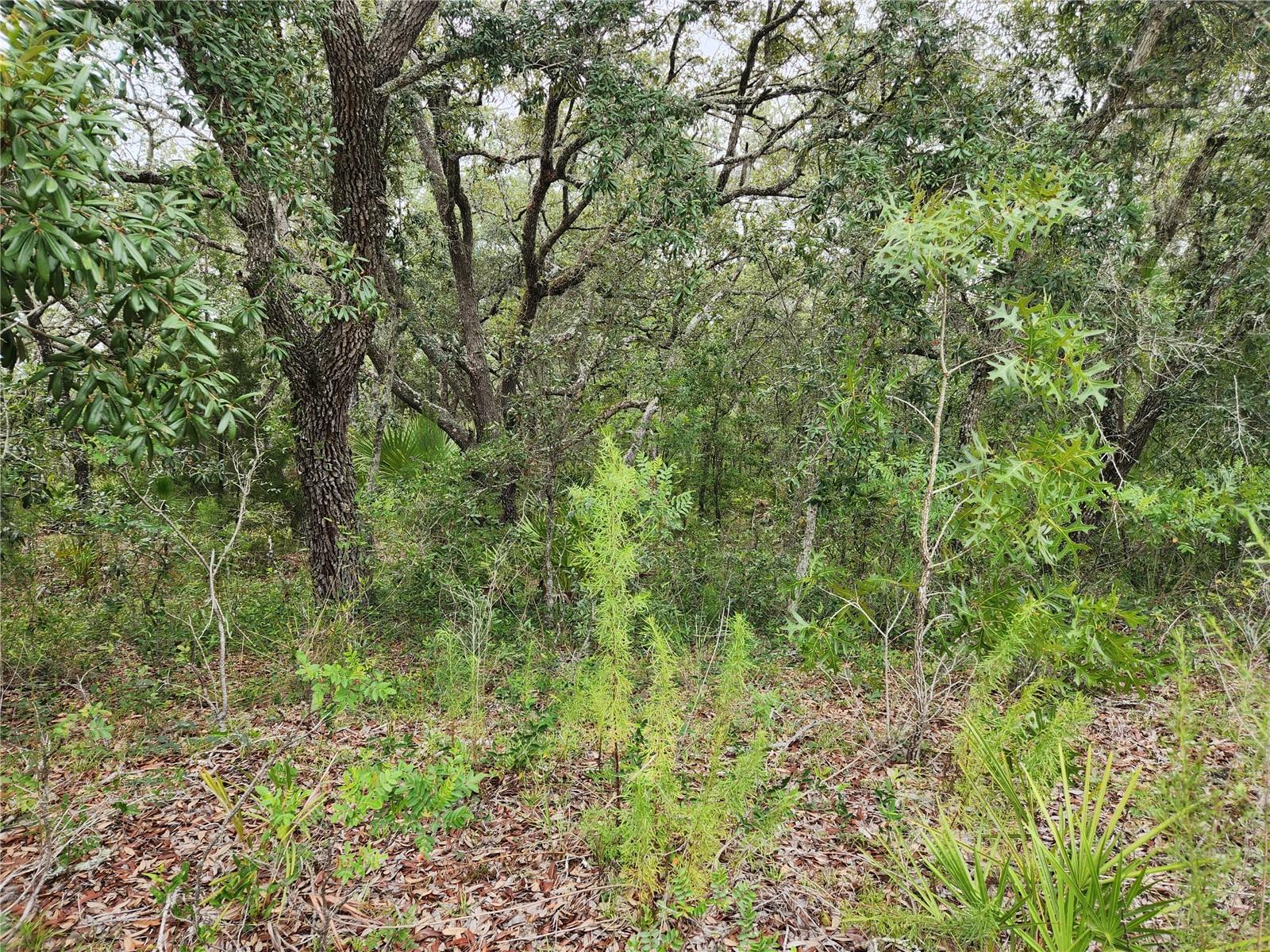 18364 PARAKEET ROAD Lot #25