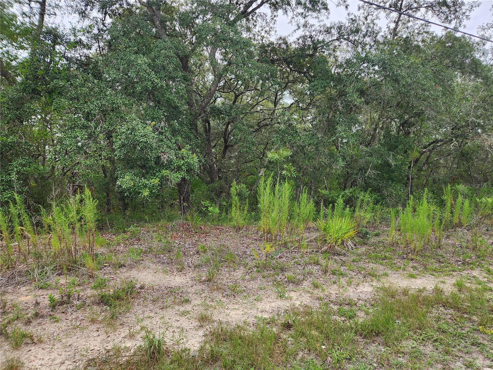 18364 PARAKEET ROAD Lot #25