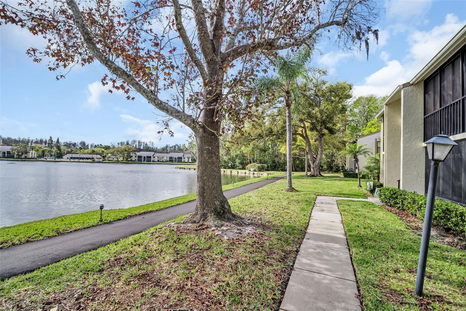 PINE RIDGE AT LAKE TARPON VILLAGE - Residential