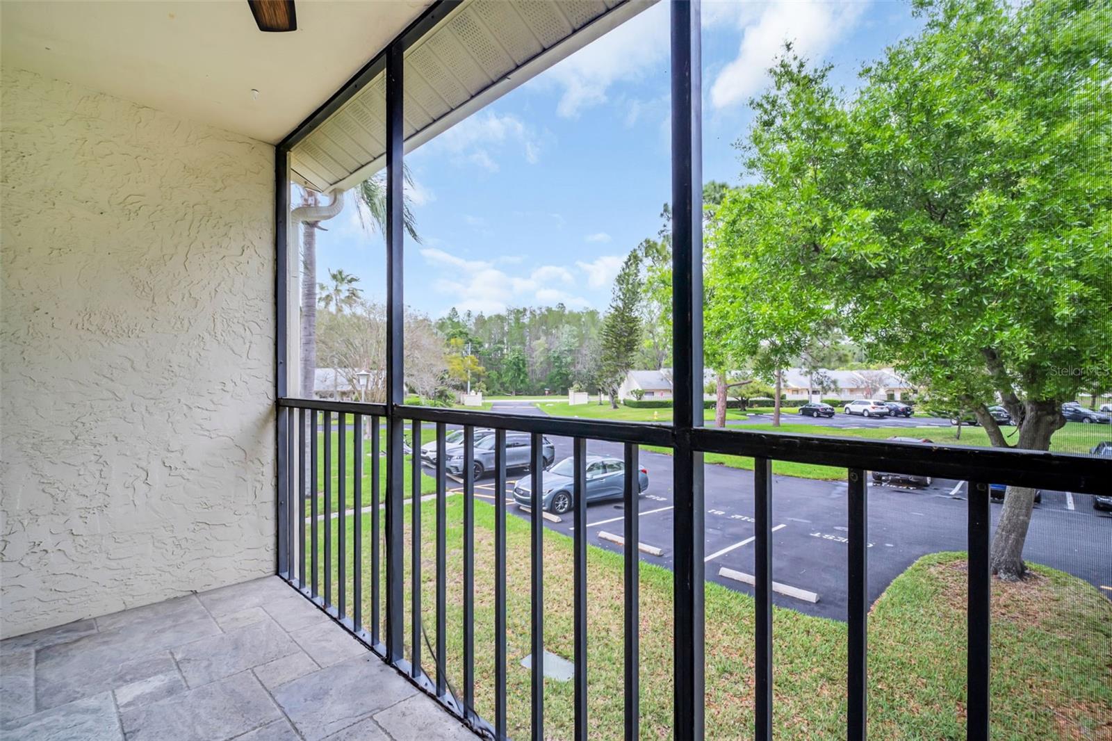 PINE RIDGE AT LAKE TARPON VILLAGE - Residential