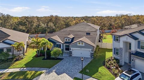 10731 GREEN HARVEST DRIVE RIVERVIEW FL 33578