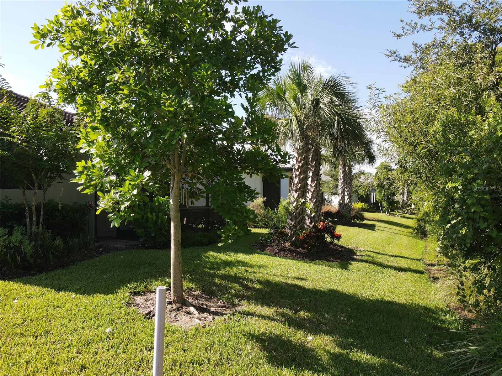 CYPRESS FALLS PH 2D - Residential