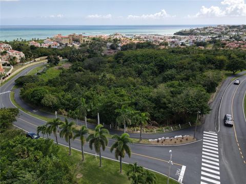 PALMAS DRIVE HUMACAO  00791