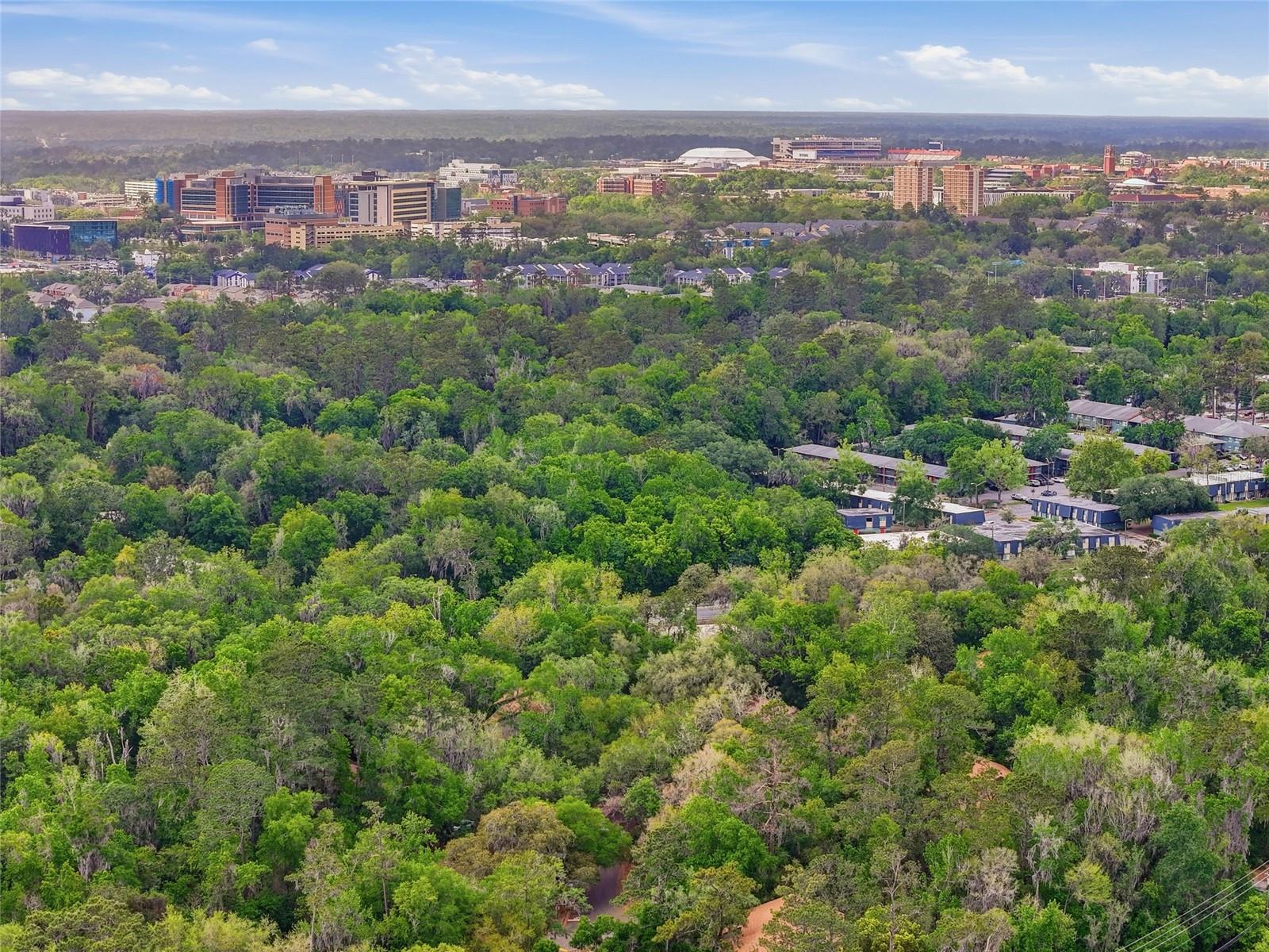 TREEHOUSE VILLAGE - Residential