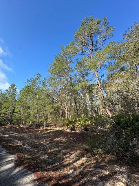 Tiny photo for Ocklawaha, FL 32179 (MLS # O6382489)
