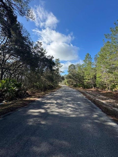 Tiny photo for Ocklawaha, FL 32179 (MLS # O6382489)