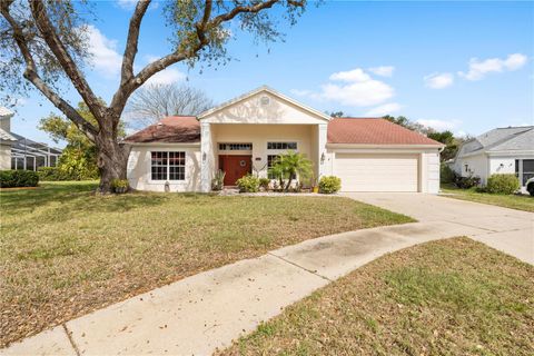 13542 SUMMERWOOD COURT HUDSON FL 34667