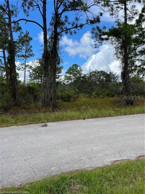 PLACID LAKES SEC 11 - Land