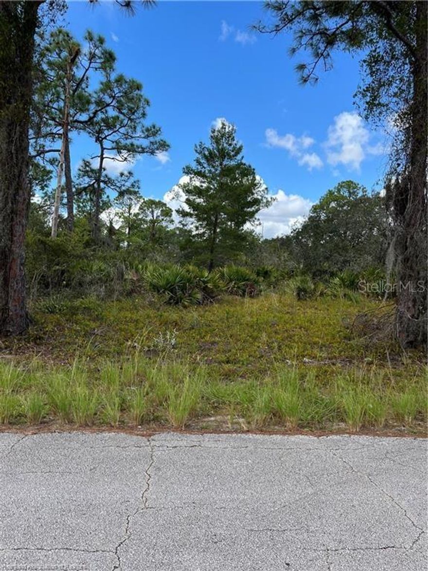 Attention Builder's and Investors: Beautiful duplex lot with paved road and utilities nearby in the Placid Lakes subdivision. Priced to sell quickly.