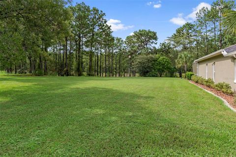 Tiny photo for 5352 N Mock Orange Drive, Beverly Hills, FL 34465 (MLS # W7878344)