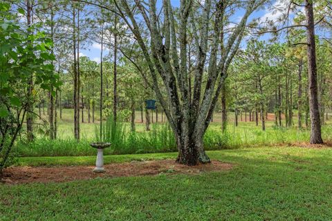 Tiny photo for 5352 N Mock Orange Drive, Beverly Hills, FL 34465 (MLS # W7878344)