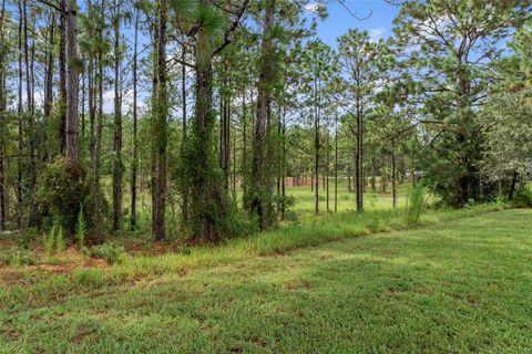 Tiny photo for 5352 N Mock Orange Drive, Beverly Hills, FL 34465 (MLS # W7878344)