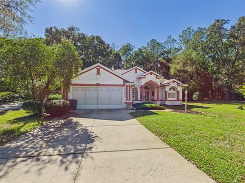 19439 SW 101ST PLACE ROAD DUNNELLON FL 34432