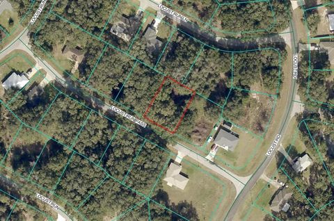 Tiny photo for Locust Run Pass, Ocala, FL 34472 (MLS # S5140547)