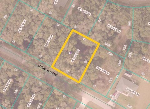 Tiny photo for Locust Run Pass, Ocala, FL 34472 (MLS # S5140547)