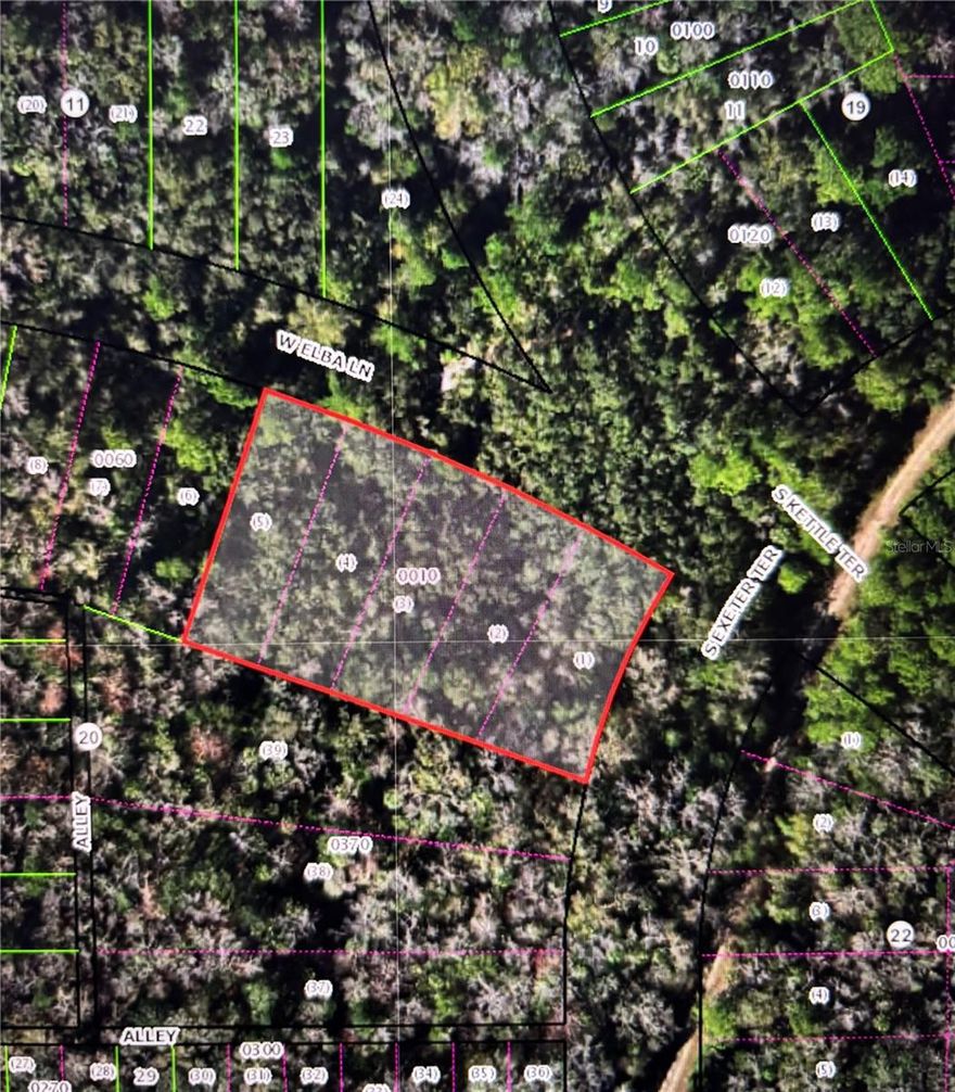 Discover 0.83 acres of beautiful, unspoiled Florida land—an ideal setting for your dream home, private weekend retreat, or smart future investment. Zoned CLR and free of HOA restrictions, this property offers flexibility and freedom to build to suit your vision. Surrounded by natural beauty and located near spring-fed rivers, Gulf Coast fishing, kayaking, and wildlife preserves, outdoor adventure awaits just minutes away. Enjoy the perfect balance of peaceful country living with convenient access to medical facilities, shopping, dining, and US Hwy 19 for an easy commute. Don’t miss this opportunity to own a slice of Florida paradise!