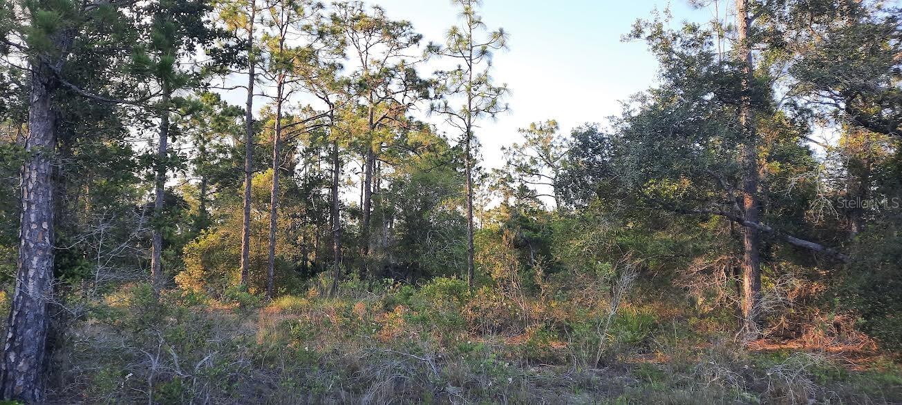 Come build your forever home on this one-half acre lot that located in the lake community of Indian Lake Estates, a golfing, fishing and boating community in the center of Florida. Indian Lake Estates is about 20 miles east of Lake Wales. The community surrounds the 7,500 acre lake locally known as Lake Walk In Water, nationally known for its fishing and considered to be one of the best bass fishing lakes in all Florida. The lake has a beach, boat ramp, boat marina and the longest freshwater Fishing pier in the State of Florida. The pavilion is located at the front of the pier and is complete with propane grills and covered picnic tables. The community amenities include an 18-hole golf course, basketball and tennis courts, 23, 000 sq.ft. clubhouse, cafe, post office, churches, library, fitness room and pro shop. If you love nature and the peace and quiet of the country you're in luck. Wildlife is plentiful! You will see deer, raccoon, turkey, turtles, cranes and various species of birds that call Indian Lake Estates their home. Orlando and Disney is only about an hour's drive north and Tampa, Busch Gardens, and the Gulf's pristine beaches only a little over an hour west. Historic Bok Tower, a National Landmark, is in nearby Lake Wales. The Westgate River Ranch Resort and Rodeo is just six miles away. An authentic Florida dude ranch and full-service resort offering guests the opportunity to experience "Old Florida." Encompassing 1,700 beautiful acres, Westgate River Ranch features horseback riding, wildlife airboat and swamp buggy rides, Saturday night championship rodeo, trap/skeet range, nature hikes, petting farm, marina, Adventure Park with zip line and rock climbing wall, Westgate Smokehouse Grill and River Ranch Saloon and much more. Cowboy-themed accommodations range from ranch-themed lodge guestrooms and deluxe lodge suites to spacious cottages, two-bedroom cabins, Glamping and Luxe Teepees. Come out and see how great life can be at Indian Lake Estates! Polk County's best kept secret!