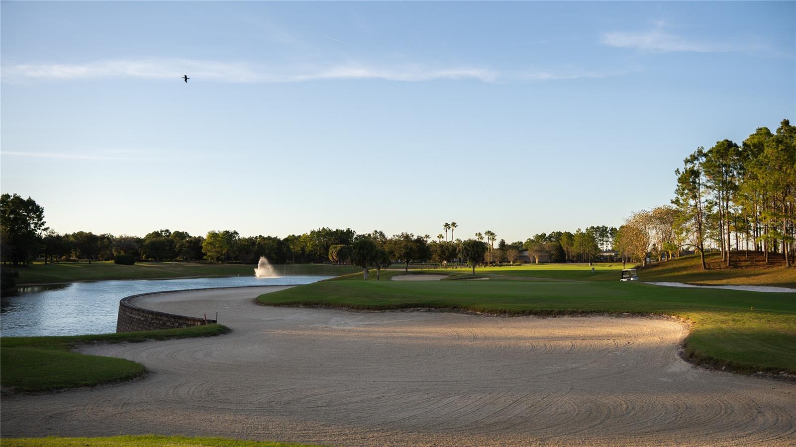 STONE CRK BY DEL WEBB LEXINGTON - Residential