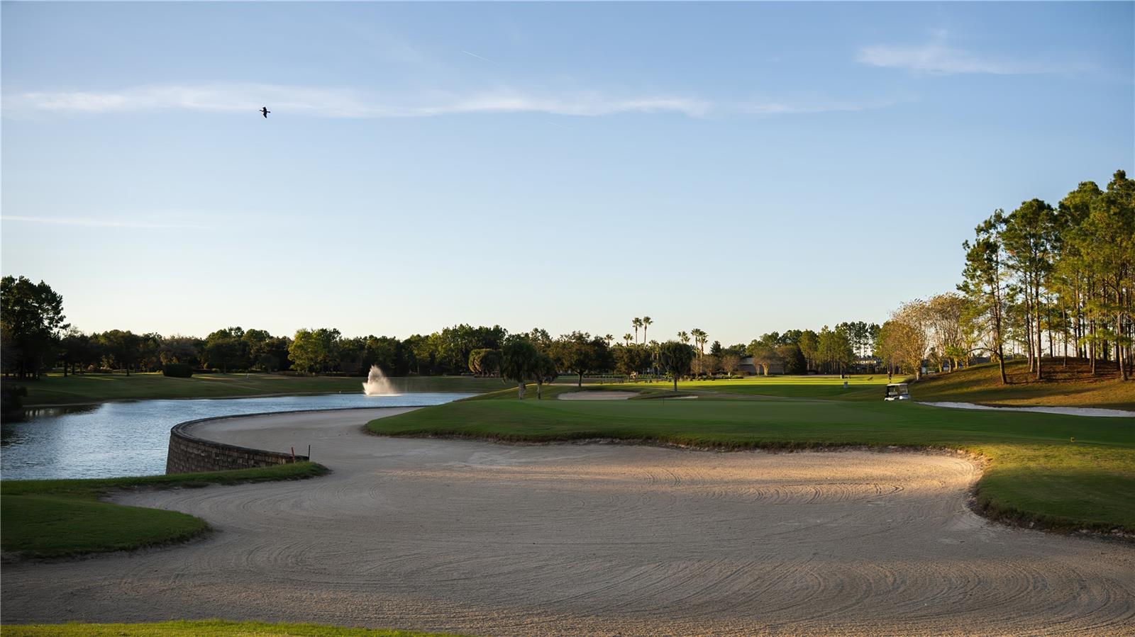 STONE CRK BY DEL WEBB LEXINGTON - Residential