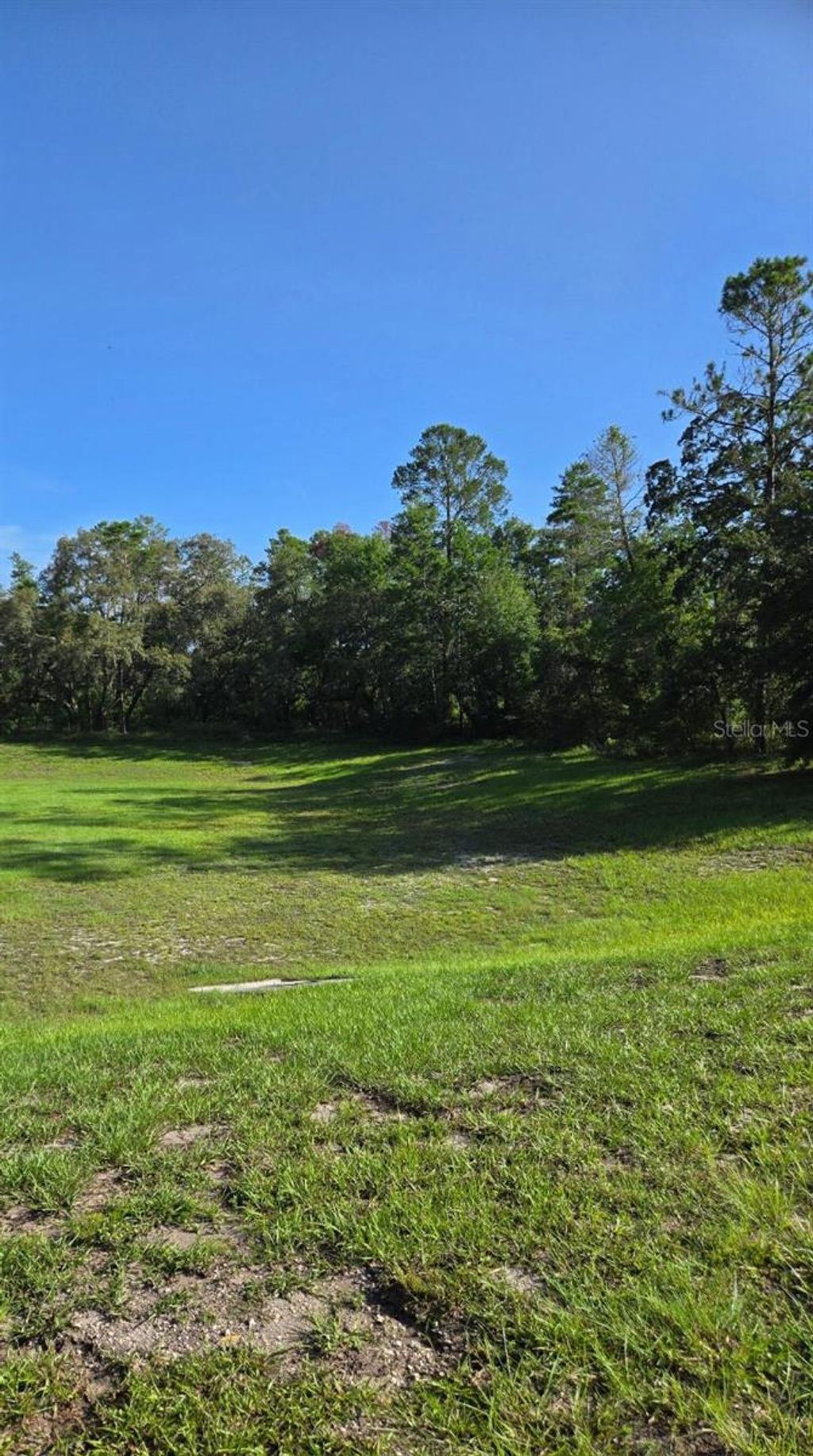 Photo of 13603 Gopher Pond Court, Hudson, FL 34669 (MLS # TB8418284)