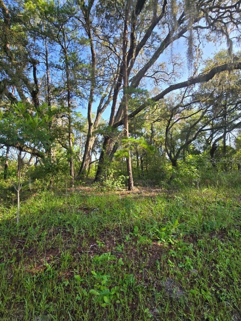 TIMBERWOOD ACRES SUB - Land